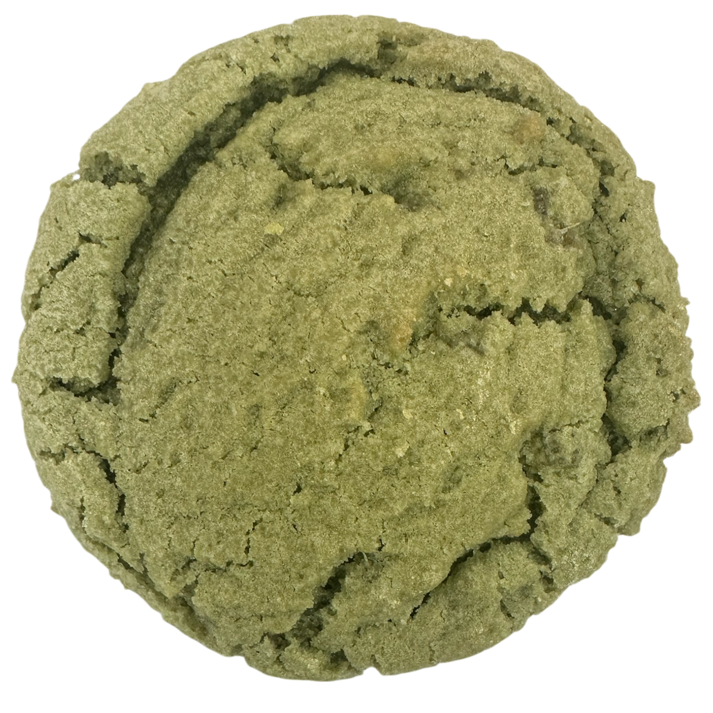 Green Dynastea