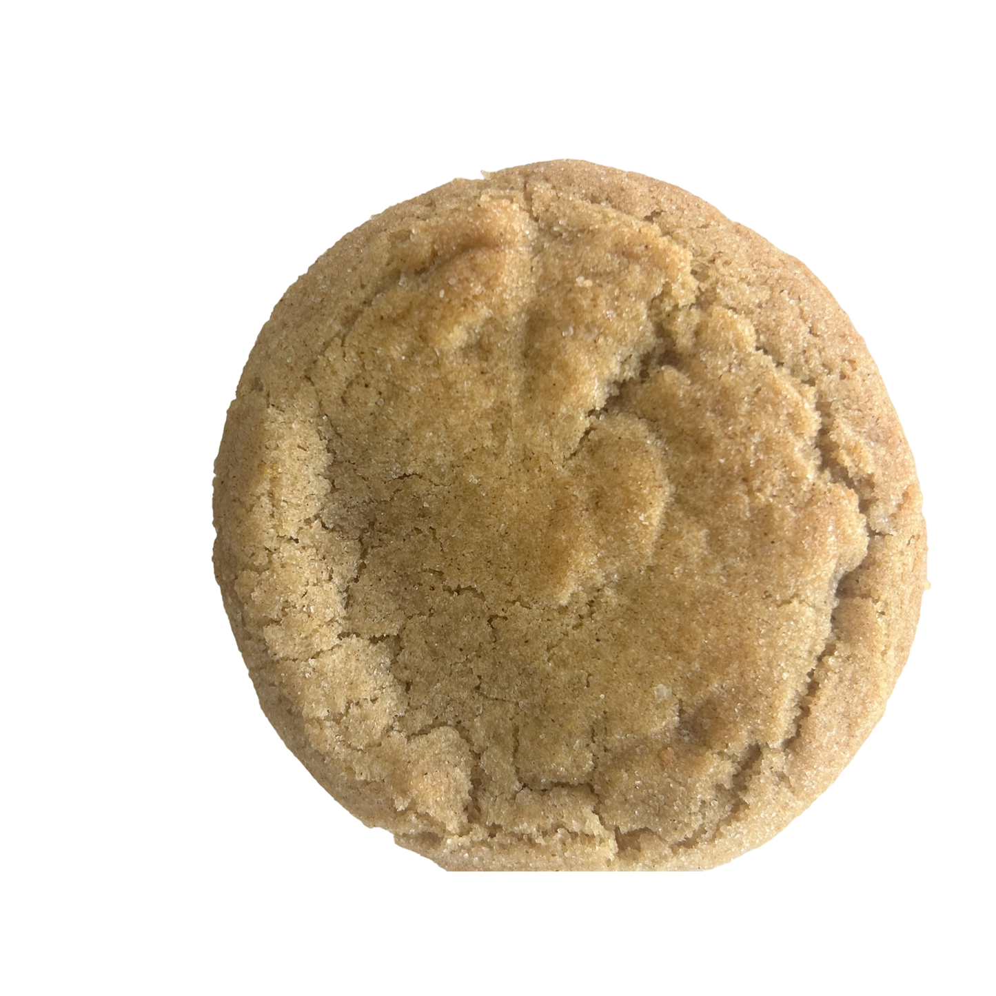 Citradoodle