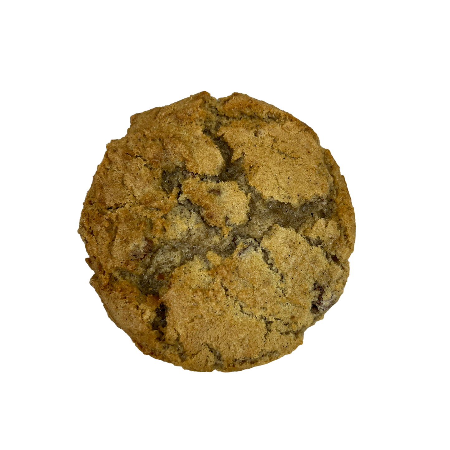 Boston Lager Chocolate Chip